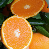 四川青见5斤果冻橙子滑嫩多汁现摘柑橘子新鲜脐橙口感产地直发