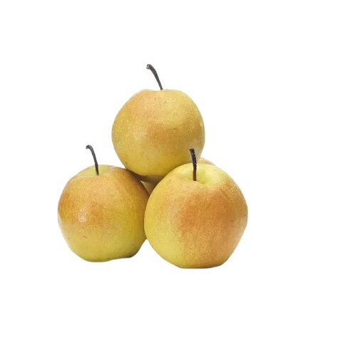 山西临汾隰县玉露香梨新鲜孕妇水果梨子应季包邮现摘当季10斤香梨