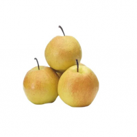 山西临汾隰县玉露香梨新鲜孕妇水果梨子应季包邮现摘当季10斤香梨